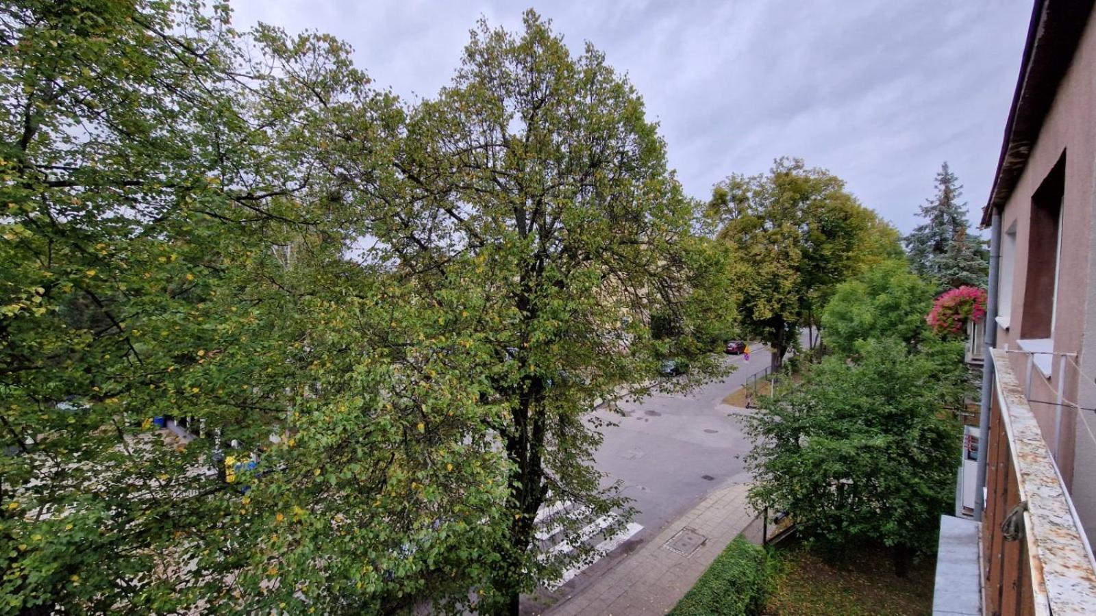 말보르크 Apartament Classic 아파트 외부 사진